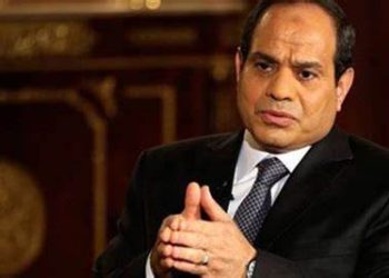 الرئيس عبدالفتاح السيسى