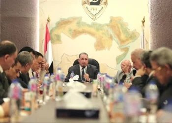 مجلس نقابة المحامين المصرى