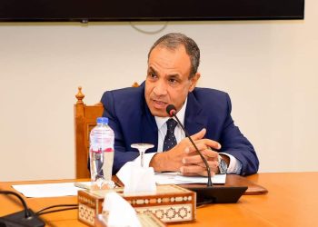 وزير الخارجية بدر عبد العاطي