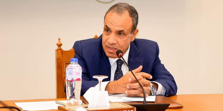 وزير الخارجية بدر عبد العاطي