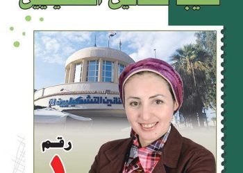 مرفت مرسي المرشحة على مقعد نقيب التشكيليين