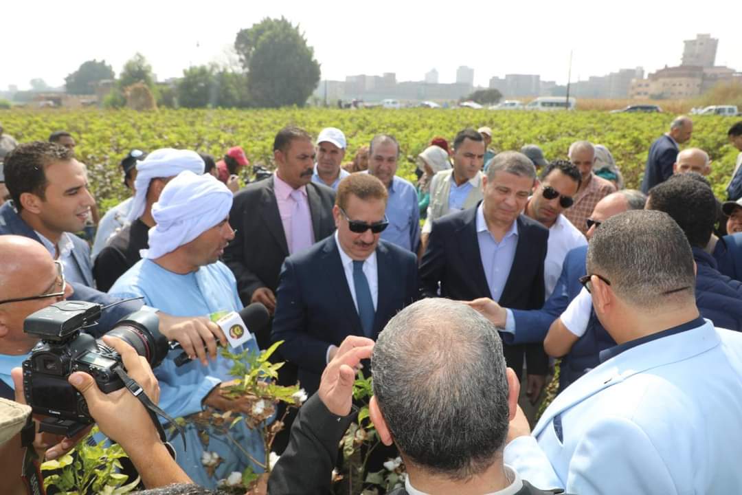 وزير الزراعة ومحافظ المنوفية يفتتحان موسم جني القطن 