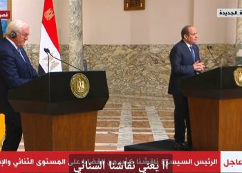 الرئيس السيسي والرئيس الألماني خلال المؤتمر الصحفي