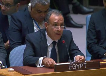 وزير الخارجية في الجلسة الطارئة لمجلس الأمن