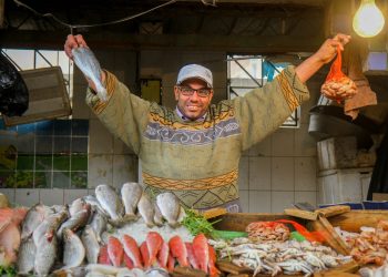 أسعار الأسماك بسوق السمك - صورة ارشيفية