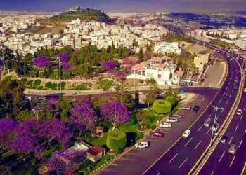 مدينة أبها في السعودية