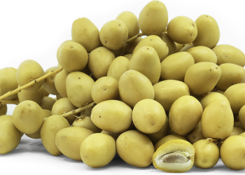البلح الأصفر
