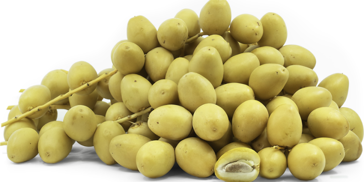البلح الأصفر
