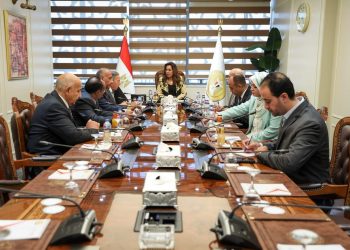 جانب من اجتماع وزيرة التنمية المحلية بنقيبي الأطباء والأسنان