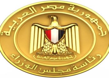 مجلس الوزراء المصرى