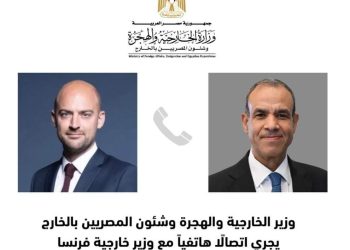وزيرا الخارجية المصري والفرنسي
