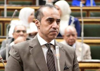 المستشار محمود فوزي