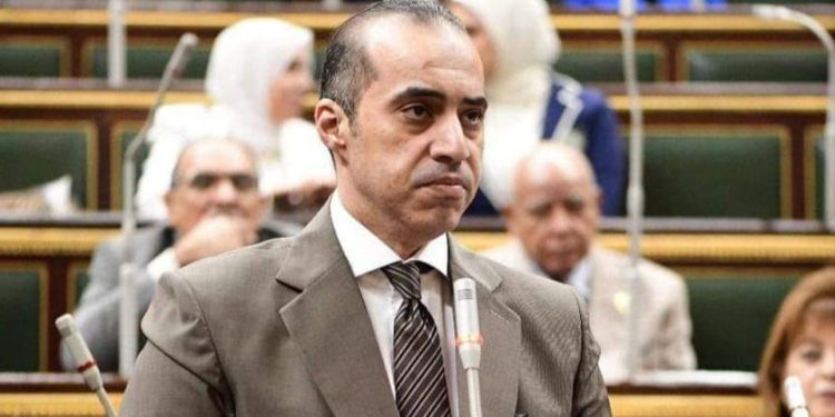المستشار محمود فوزي