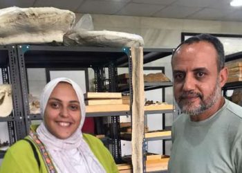 الدكتور هشام سلام، مؤسس مركز الحفريات الفقارية بجامعة المنصورة