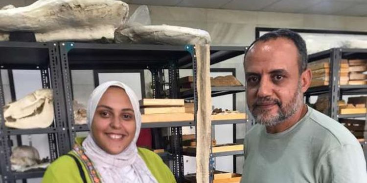 الدكتور هشام سلام، مؤسس مركز الحفريات الفقارية بجامعة المنصورة