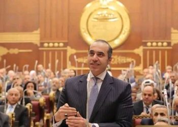 المستشار محمود فوزي