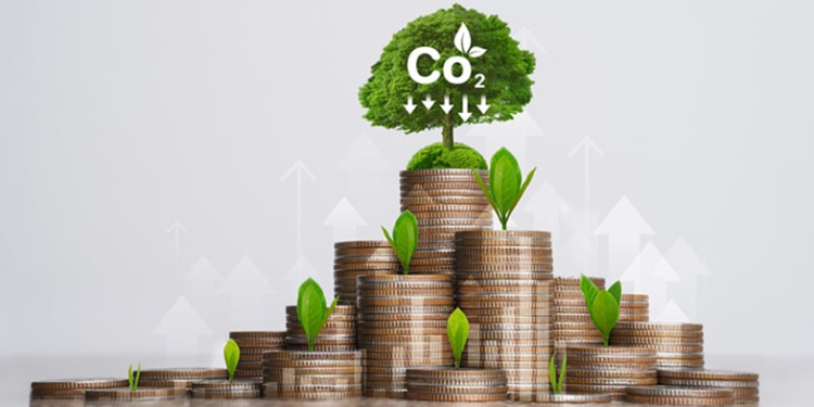 كيف تتعامل شركات التأمين مع تغير المناخ من خلال شهادات الكربون