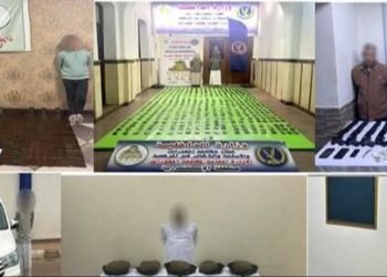 ضبط عناصر إجرامية بالقليوبية والدقهلية