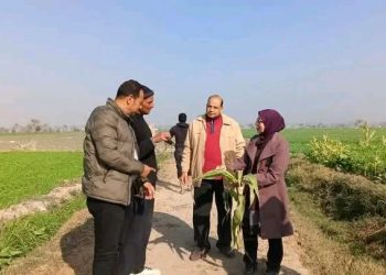 زراعة الفيوم