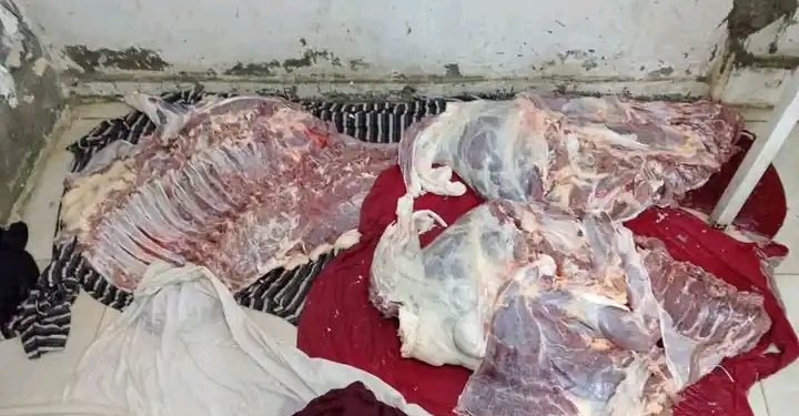 ذبح حصان