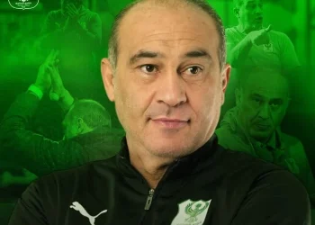 علي ماهر