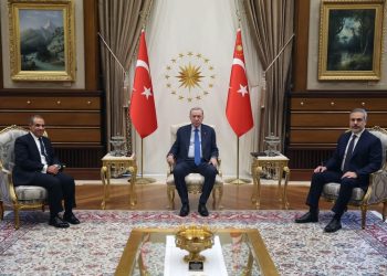 وزير الخارجية ينقل رسالة خطية من الرئيس السيسي إلى نظيره التركي