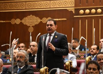 النائب فرج فتحي