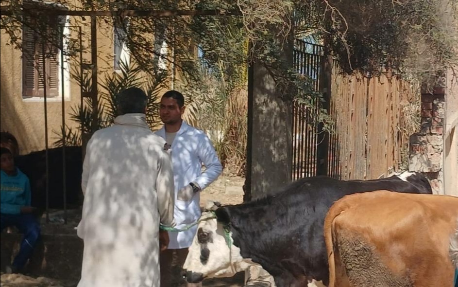 بيطري بني سويف تفحص 102 حالة ضمن حياة كريمة