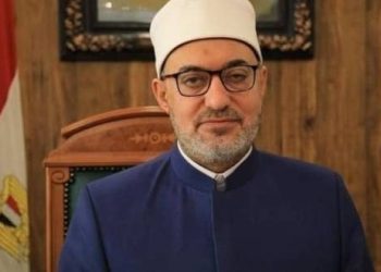 مفتي الجمهوربة دكتور نظير عياد