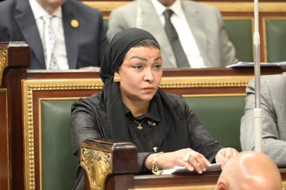 النائبة ألفت المزلاوي 