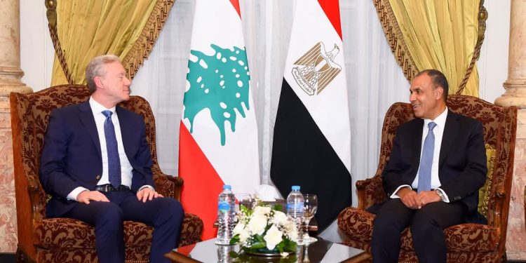 عبد العاطي يستقبل نظيره وزير خارجية لبنان
