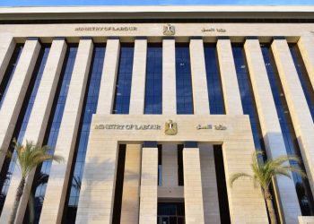وزارة العمل المصرية