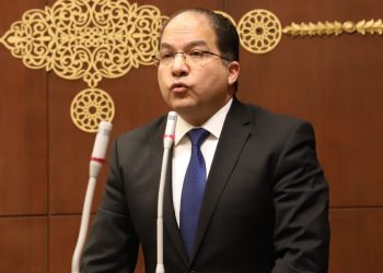 النائب عادل اللمعي عضو مجلس الشيوخ