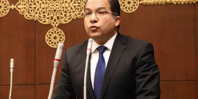النائب عادل اللمعي عضو مجلس الشيوخ