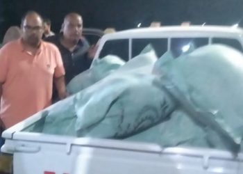 جانب من المضبوطات في الحملة التموينية