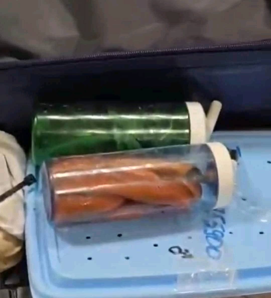 جانب من تفتيش رجال جمارك مطار القاهرة حقائب أجني
