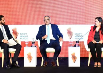 حسام هيبة، الرئيس التنفيذي للهيئة العامة للاستثمار والمناطق الحرة