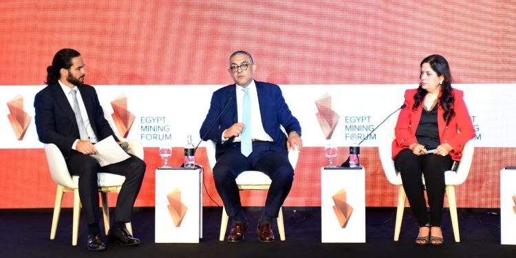 حسام هيبة، الرئيس التنفيذي للهيئة العامة للاستثمار والمناطق الحرة
