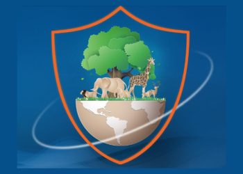 التأمين والتنوع البيولوجي: شراكة ضرورية لحماية البيئة وضمان الاستدامة