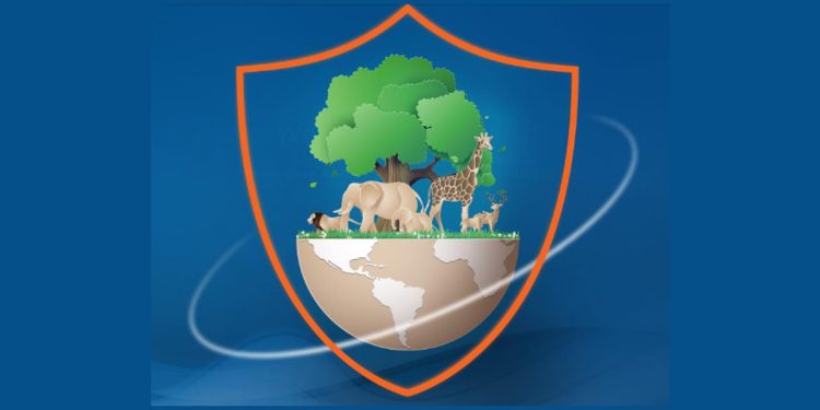 التأمين والتنوع البيولوجي: شراكة ضرورية لحماية البيئة وضمان الاستدامة