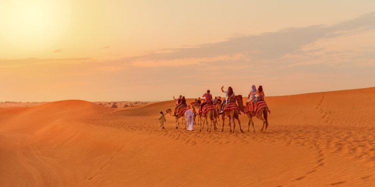 تجمع حياة الصحراء