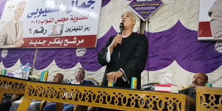 دكتور جمال القليوبي