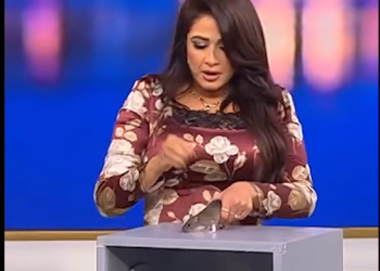 ياسمين عبد العزيز