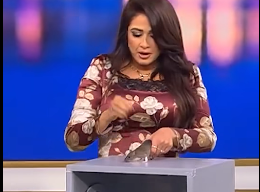 ياسمين عبد العزيز
