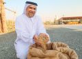 خطوة نحو الأمن الغذائي: نجاح زراعة الأرز محلياً في الإمارات