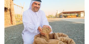 خطوة نحو الأمن الغذائي: نجاح زراعة الأرز محلياً في الإمارات