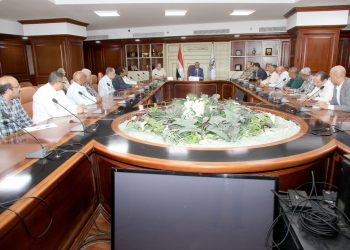 محافظ بني سويف يعلن عن مسابقة بين المناطق  لتجميل العاصمة 