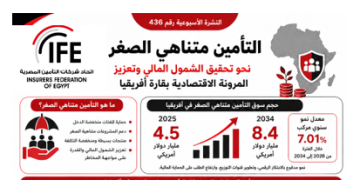 التأمين متناهي الصغر في أفريقيا.. سوق يتجاوز 8 مليارات دولار وفرص واعدة لتعزيز الشمول المالي